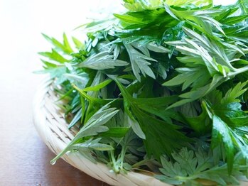 ユー(Yu)の写真/【女性専用サロン】無農薬の国産よもぎ×国産ひのきで作った椅子で有害物質を一切使っていないものを使用◎