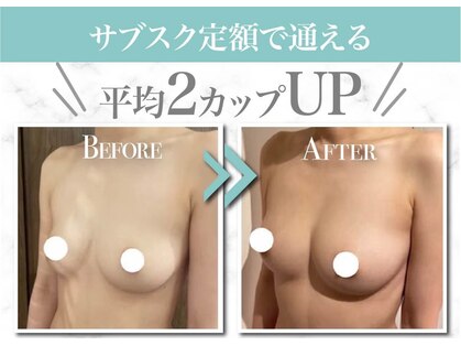 美人バスト 掛川店の写真
