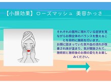 エヌスパ(NSPA)/4　ローズマッシュ&グアシャ