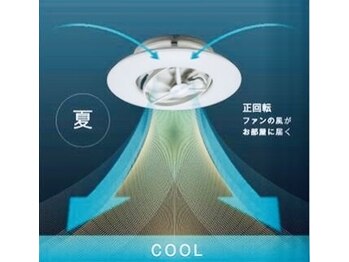 整体オガサワラ/天井から吹く風が、心地いい♪