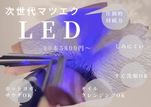 カミエニコ(Kamienico)