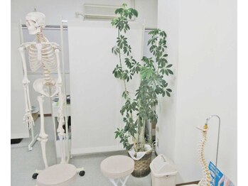 姫路なごみ整体院 なごみ鍼灸院/骨格模型
