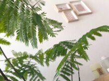 ネロリ(NEROLI)の雰囲気（右上のハートマークからお気に入り登録お願いします(^^)）