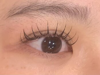 アングゥ ウル(ungu ul)/フラットラッシュ120本