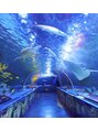 仙豆のちから 姫路大手前通り店 休みの日は、水族館や動物園に突撃してます!