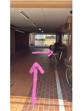 プルティティア(Pultitia)/