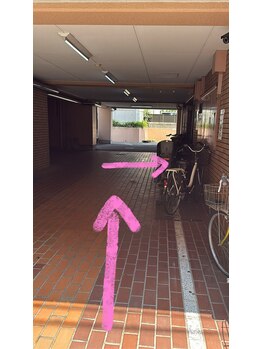 プルティティア(Pultitia)/