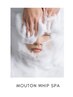 【★ムートンホイップスパ★】毛穴汚れ/くすみ/しわのお悩み