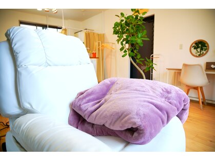 パレット(palette)の写真