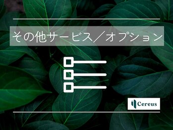 セレウス(Cereus)/●その他サービス／オプション