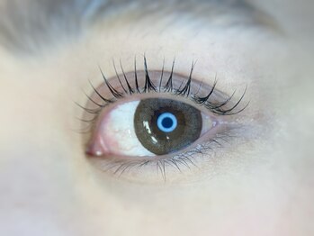 リ ボディ 札幌駅前店(Re Body)/ラッシュリフト　4,980円