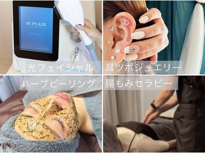 ベルハーブ(Belle herb)の写真