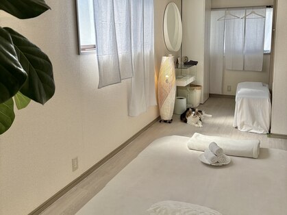 マドロマ(Madoroma)の写真