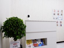 アイケアラボ 四ツ谷店(アイケアLaBo)/緑に癒されるやさしい受付空間