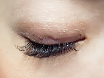 エレナラッシュ 熊谷店/<3Dボリュームラッシ400本>