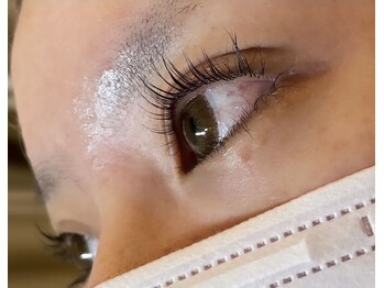 ザラボアングゥ(The Labo ungu)/