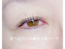 キャットウィンク(catwink)/