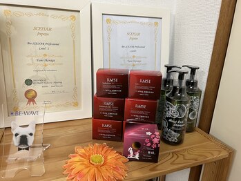 ルーナマーレ(Lunar mare)/