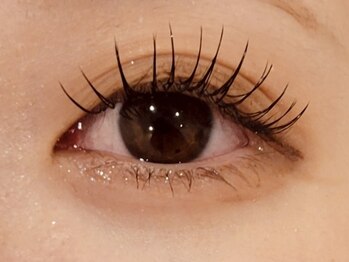 プラスエリマ 四日市(Plus Elima)/フラットラッシュ 四日市