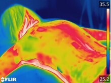 美人バスト 新潟店/マシーン施術後の冷え改善→→★