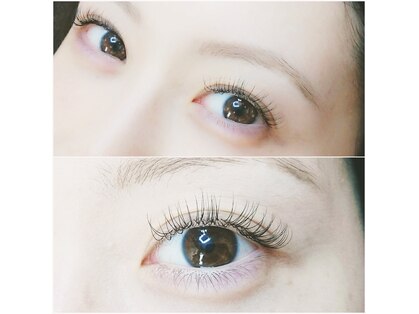 ハニーバニー(Honey Bunny)の写真