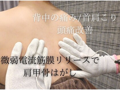 アプリシエイト(Appriciate)の写真