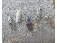 ツリーハウスネイル(tree house nail)/ハンド定額¥6400