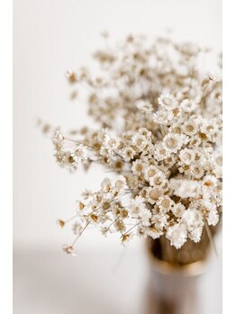 エレストゥ(ERES Tu)/