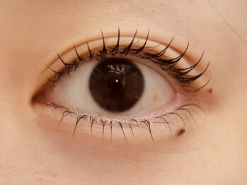 プラスエリマ 四日市(Plus Elima)/ラッシュリフト 四日市