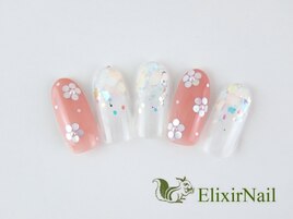 定額a シンプル/クーポン使用