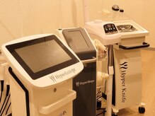 麗 池袋の雰囲気（最新ハイパーナイフEX2で脂肪燃焼！痩身と疲れリセットを同時に）