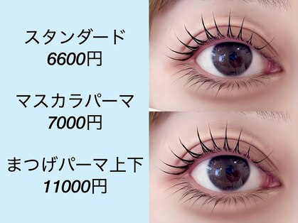 ローズラッシュ(Rose Lash)の写真