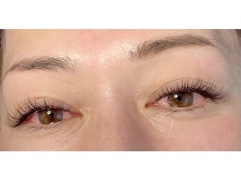 シスタス(Cistus)/高持続フラットラッシュ