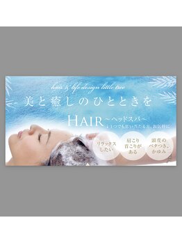リトルツリー(little tree)/頭皮、毛質のお悩み解消