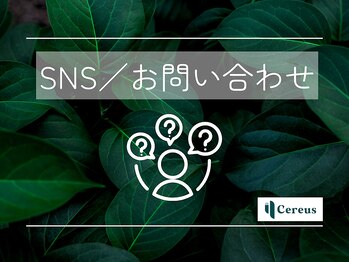 セレウス(Cereus)/●SNS／お問い合わせ