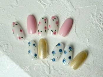 定額ミディアムコース