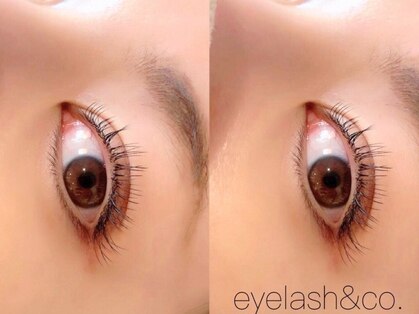 アイラッシュアンドコー(eyelash&co.)の写真