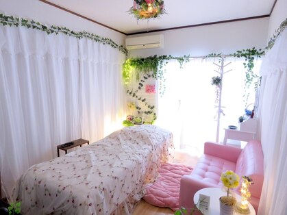 フェアリー(Fairy)の写真