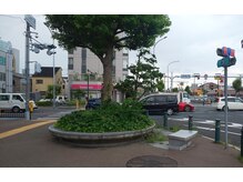 スリールドマジック(sourire de magic)/【ご案内】中百舌鳥５丁南交差点