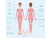 ネオ(NEO)/レディース全身脱毛