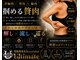 アルティメット(Ultimate)の写真