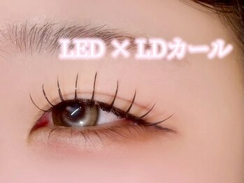 ライリス(Lylis)/LDカール