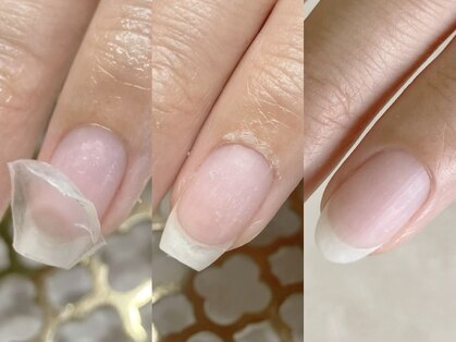 ティート(te-et)の写真