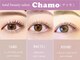 チャモ(Chamo)の写真