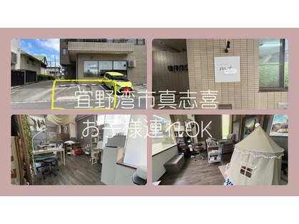 イエロー(Yellow)の写真