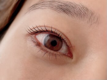 ディアウーマンアイラッシュ(Dear Woman Eyelash)/アッパーリフトカール