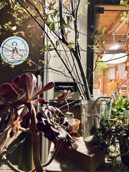 わたなべ整体院/