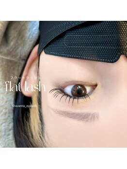 アヴァンティア(AVANTIA)/フラットラッシュ100本