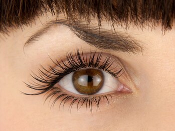 ココマリ 祖師ケ谷店(Coco Mari)/☆高級セーブル☆シングル