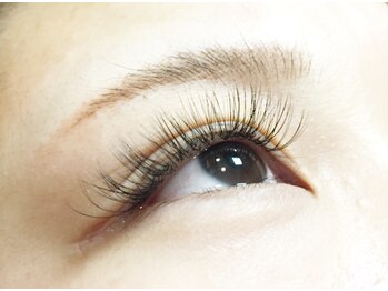 ディシェーレ アスト(die-Schere Ast)/ボリュームラッシュ 240本